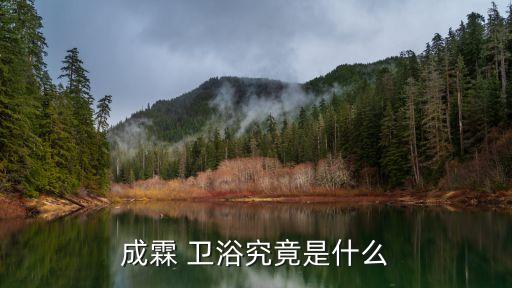 成霖 衛(wèi)浴究竟是什么