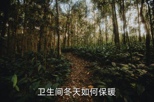 衛(wèi)浴暖風(fēng)掉了怎么辦呢圖片