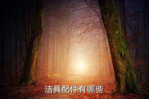 衛(wèi)浴三件套推薦毛巾架圖片