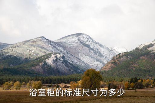 浴室柜的標(biāo)準(zhǔn)尺寸為多少