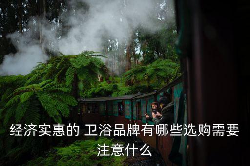 小品牌衛(wèi)浴能買嗎,衛(wèi)浴大品牌和小品牌的區(qū)別