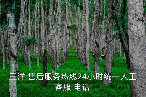 三洋 售后服務(wù)熱線24小時統(tǒng)一人工客服 電話