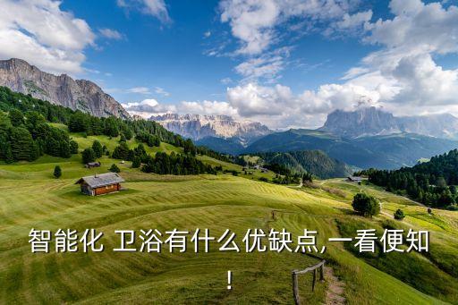 智能化 衛(wèi)浴有什么優(yōu)缺點(diǎn),一看便知!