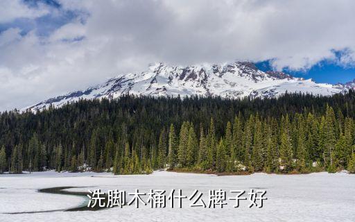 卓品衛(wèi)浴浴桶價(jià)格及圖片