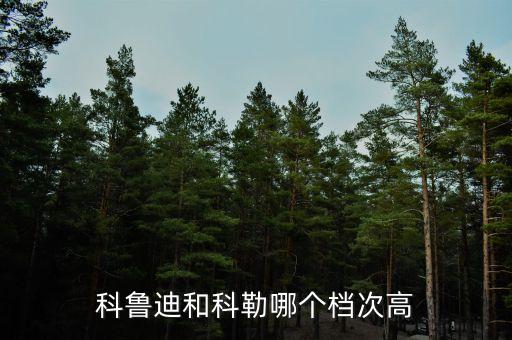 科魯?shù)虾涂评漳膫€檔次高