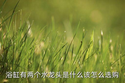 浴缸有兩個水龍頭是什么該怎么選購