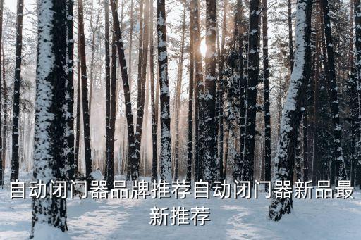 自動(dòng)閉門(mén)器品牌推薦自動(dòng)閉門(mén)器新品最新推薦