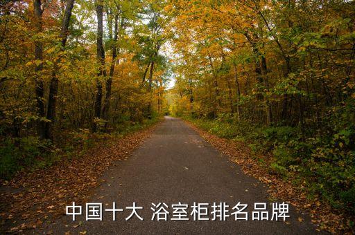 明廚明衛(wèi)浴室柜的品牌