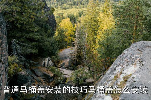普通馬桶蓋安裝的技巧馬桶蓋怎么安裝