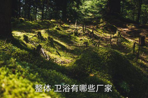 整體 衛(wèi)浴有哪些廠家