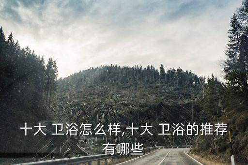 衛(wèi)浴品牌怎么樣選好點(diǎn),艾尚衛(wèi)浴是品牌嗎怎么樣