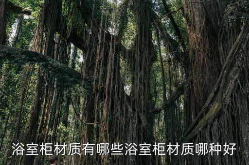 衛(wèi)浴用樹脂有幾種型號圖片