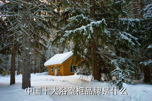 中國(guó)十大浴室柜品牌是什么