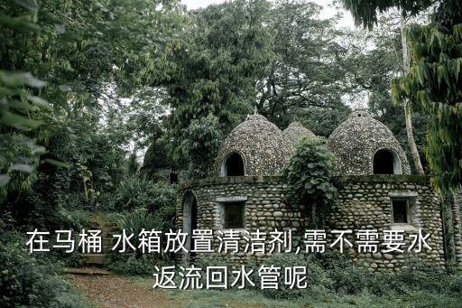 在馬桶 水箱放置清潔劑,需不需要水返流回水管呢