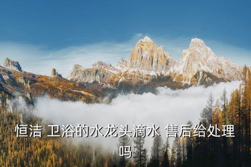 恒潔 衛(wèi)浴的水龍頭滴水 售后給處理嗎