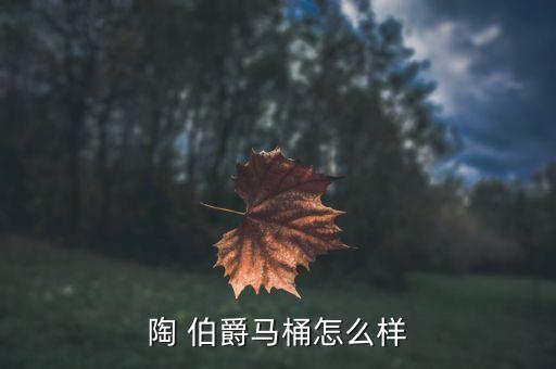 陶 伯爵馬桶怎么樣