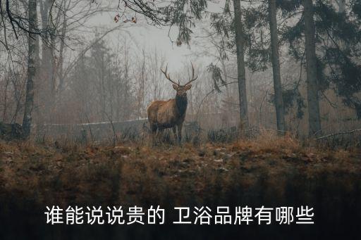 德國當(dāng)代衛(wèi)浴價格表圖片,過江龍衛(wèi)浴價格表圖片