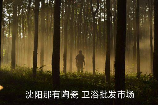 沈陽(yáng)威尼斯衛(wèi)浴電話,威尼斯衛(wèi)浴的牌子行嗎