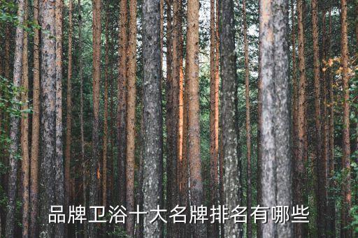 恒潔衛(wèi)浴玻璃自爆圖片