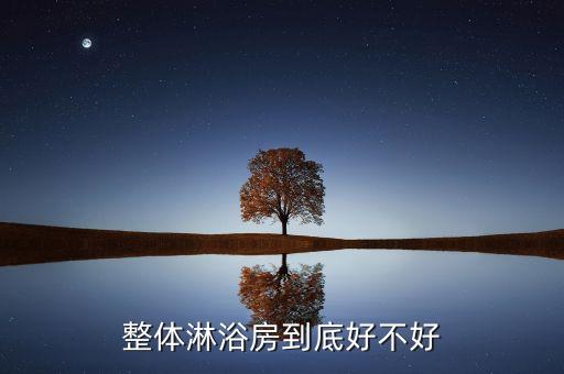 整體淋浴房到底好不好