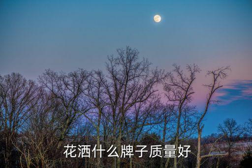 淘寶衛(wèi)浴花灑品牌大全