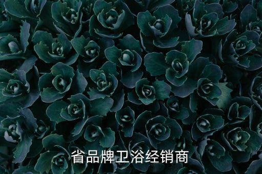 江蘇省品牌衛(wèi)浴經(jīng)銷商
