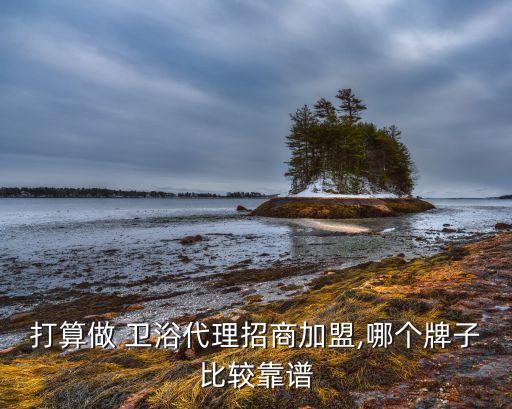 開平實(shí)力衛(wèi)浴品牌加盟店