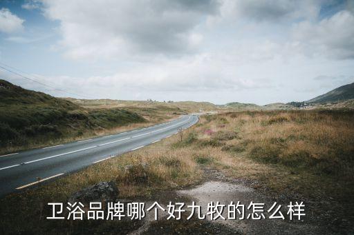 衛(wèi)浴品牌哪個好九牧的怎么樣
