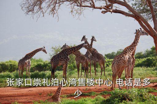 衡水市金牌衛(wèi)浴的電話,金牌衛(wèi)浴總部電話