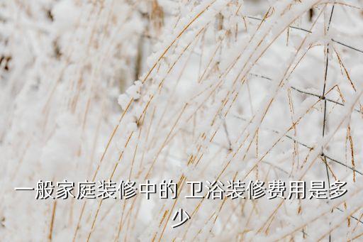 一般家庭裝修中的 衛(wèi)浴裝修費(fèi)用是多少