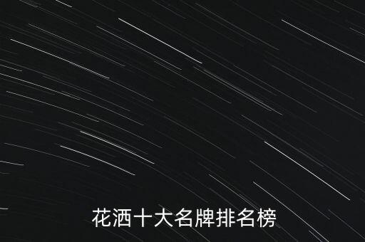 小衛(wèi)生間衛(wèi)浴花灑推薦品牌
