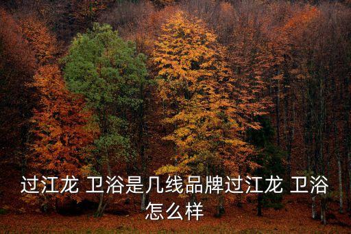 過江龍 衛(wèi)浴是幾線品牌過江龍 衛(wèi)浴怎么樣