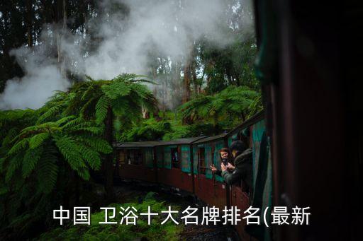 中國 衛(wèi)浴十大名牌排名(最新