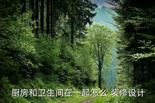  廚房和衛(wèi)生間在一起怎么 裝修設(shè)計(jì)