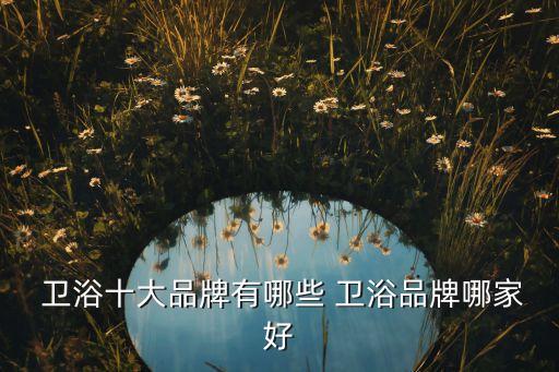  衛(wèi)浴十大品牌有哪些 衛(wèi)浴品牌哪家好