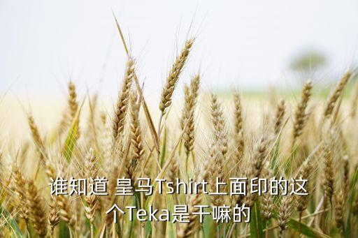 誰知道 皇馬Tshirt上面印的這個Teka是干嘛的