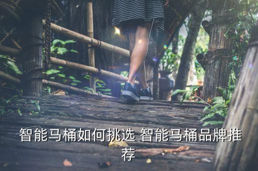  智能馬桶如何挑選 智能馬桶品牌推薦