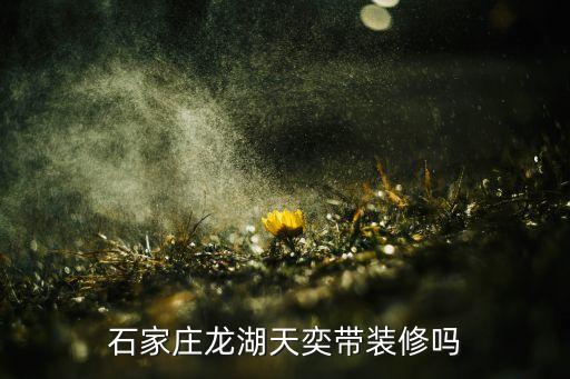 石家莊龍湖天奕帶裝修嗎