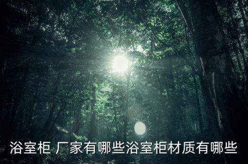 浴室柜 廠家有哪些浴室柜材質(zhì)有哪些