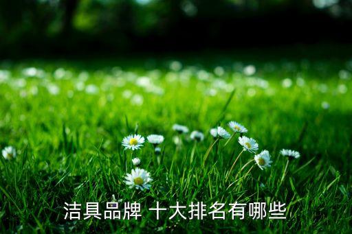 潔具品牌 十大排名有哪些