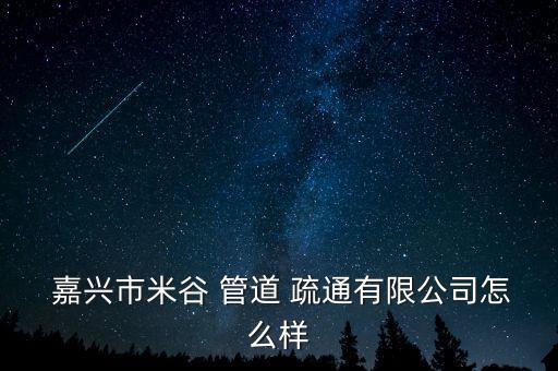  嘉興市米谷 管道 疏通有限公司怎么樣
