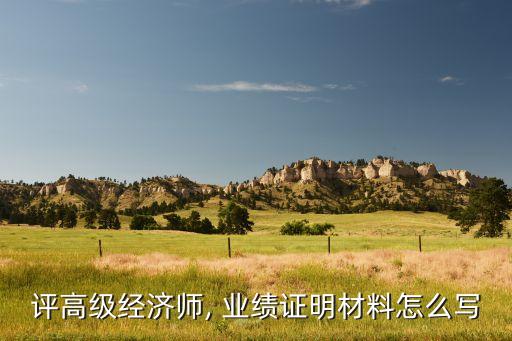 評高級經(jīng)濟(jì)師, 業(yè)績證明材料怎么寫