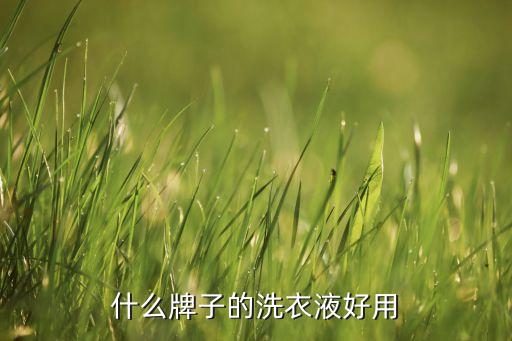 什么牌子的洗衣液好用