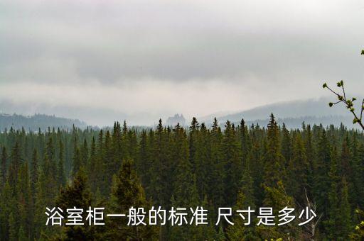 浴室柜一般的標準 尺寸是多少