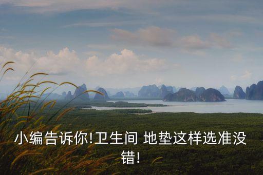 小編告訴你!衛(wèi)生間 地墊這樣選準沒錯!
