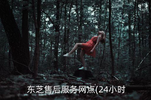  東芝售后服務(wù)網(wǎng)點(24小時