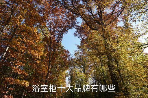 浴室柜十大品牌有哪些