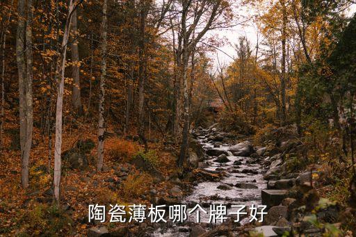 和成衛(wèi)浴瓷磚推薦品牌