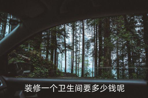  裝修一個衛(wèi)生間要多少錢呢