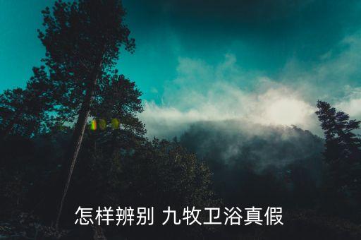 怎樣辨別 九牧衛(wèi)浴真假
